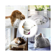 Feromoonverspreider voor katten Plugin Relaxants Pet Emotional Comfort Tool Spray
