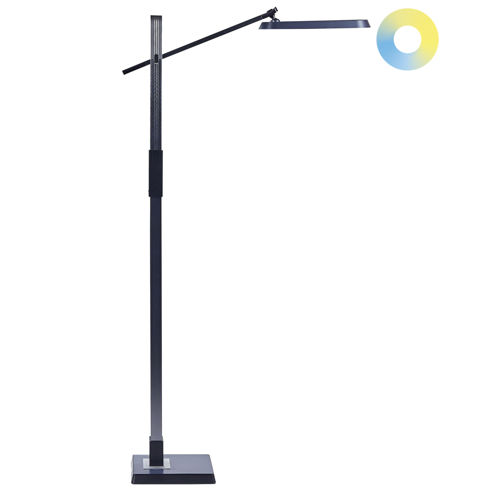 LED Floor Lamp AQUARIUS with Dimmer Metal Dark Grey