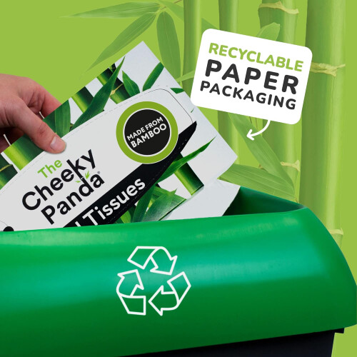 The Cheeky Panda The Cheeky Panda Bamboo Facial Tissues 12 Cube Tissue Boxes Soft Face Tissues Plastic Free Tissues Box Multipack 2
