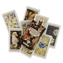 (TS203) Visions éthérées Cartes de tarot illuminées Jeu de divination Versions anglaises Oracle Board