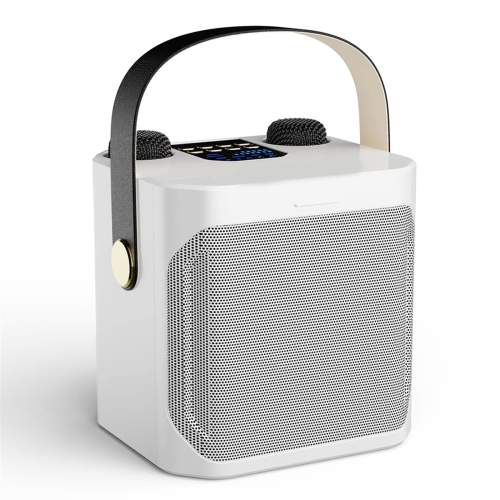 Krachtige karaoke-Bluetooth-luidspreker met dubbele microfoon, wit 2