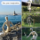 5-pack kunstfiguurmodel - 12 inch houten mannequin 5