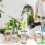 3 Pack Avocado Tree Growing Kits, Glass Avocado Seed Vase 5