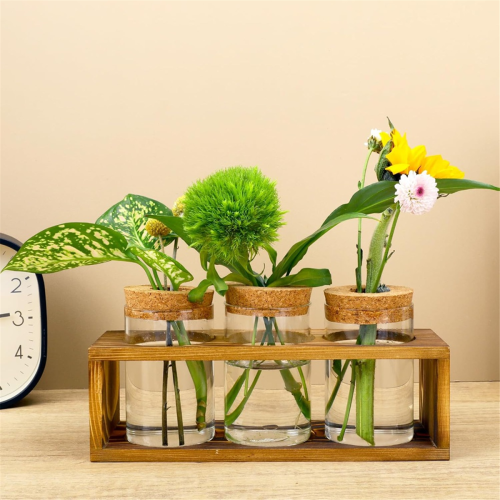 Σταθμός πολλαπλασιασμού, Terrarium γυάλινων φυτών για κοπή φυτών, διακόσμηση σπιτιού 1