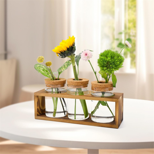 Σταθμός πολλαπλασιασμού, Terrarium γυάλινων φυτών για κοπή φυτών, διακόσμηση σπιτιού 2