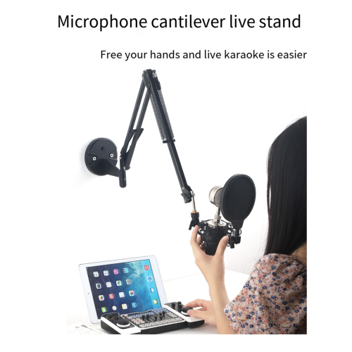 Adjustable Bracket Wall Mounted Microphone Support Fixed Base 2