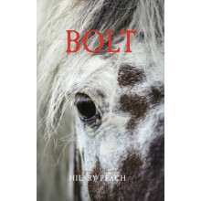 Bolt