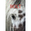 Bolt 1