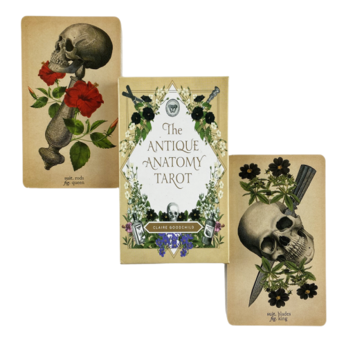 (TS53) Le jeu de cartes de tarot d'anatomie antique Oracle anglais complet Divination Esprit interrogeant 1