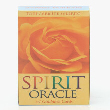 (54PCS TS12) NOUVEAU Tarot symbolique de Wirth Cartes de tarot Cartes Oracle pour la divination Destin