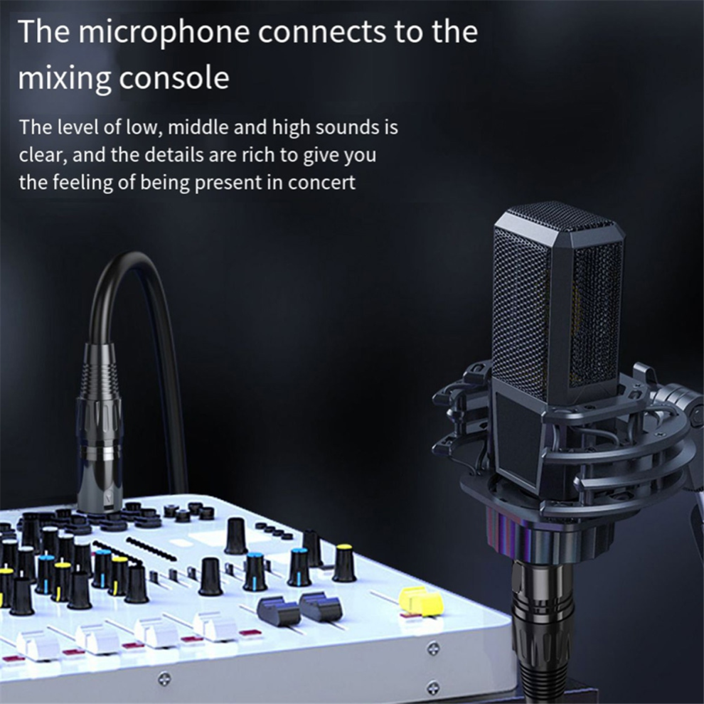 Cavo Audio Xlr Per Microfono Karaoke, Cavo Audio Cannon Da 2 Metri