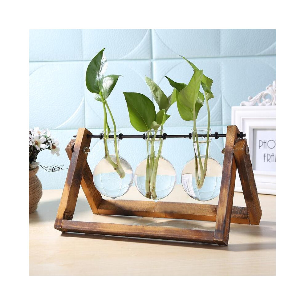 (Vase en verre C) Vase en verre transparent Cadre en bois Art du fer Terrarium Bonsaï Ornements de table