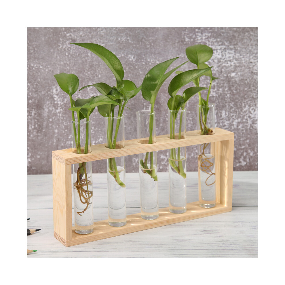 (Vase en verre H) Vase en verre transparent Cadre en bois Art en fer Terrarium Bonsaï Ornements de table