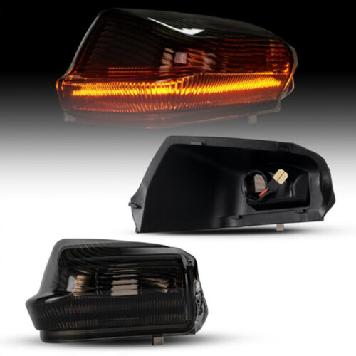 (Dynamische getönte Linse) 2 x LED-Blinker, Seitenspiegel, Blinker, Blinker, dynamische Lichter für