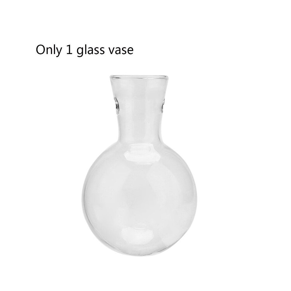 (D) Vases pour plantes hydroponiques Vase en verre Pot de fleurs vintage pour bonsaï Terrarium Plateau