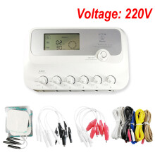 (220 V) Hwato SDZ III Elektro-Niederfrequenz-Akupunkturstimulator 6 Kanäle Akupunkturnadelbehandlung