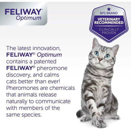 Feliway Feliway Optimum 30 Day Refill | 48ml Feliway Optimum Refill For Plug In Anxiety Relief Pheromone Diffuser For Cat 1