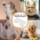 10Pcs/Lot Replaceable Ceramic 18 Teeth Pet Clipper Cutting Blade for A5 Series 9