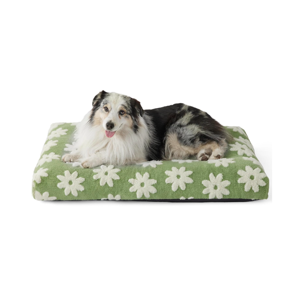 (Vert-S) Grand panier pour chien - Panier épais en mousse hachée et déchiquetée pour animal de compagnie
