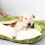 (BLU-M 60X50X23CM) Cuccia e mobili per cani con fodera sfoderabile, grande cuccia calda per cani 5