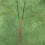 Masters David Leadbetter Golf Alignment Sticks 3