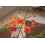 SAFLAX  - Pfauenstrauch - Caesalpinia - 10 Samen 2
