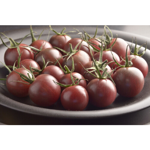 SAFLAX  - Tomate - Black Cherry - Solanum - 10 Samen 2