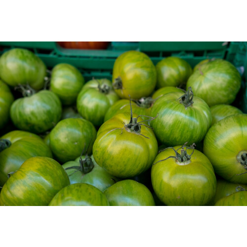 SAFLAX  - Tomate - Green Zebra - Solanum - 10 Samen 2