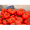SAFLAX  - Tomate - Marmande - Solanum - 10 Samen 4
