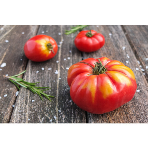 SAFLAX  - Tomate - Marmande - Solanum - 10 Samen 1