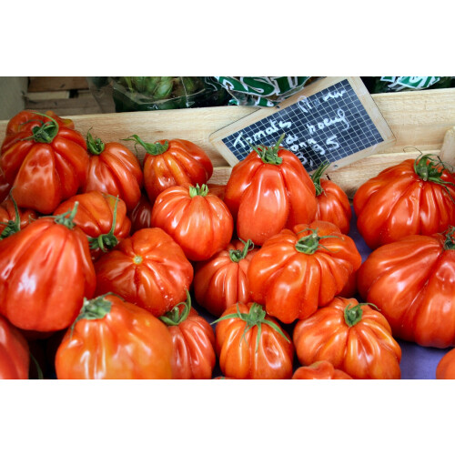 SAFLAX  - Tomate - Ochsenherz - Solanum - 10 Samen 2