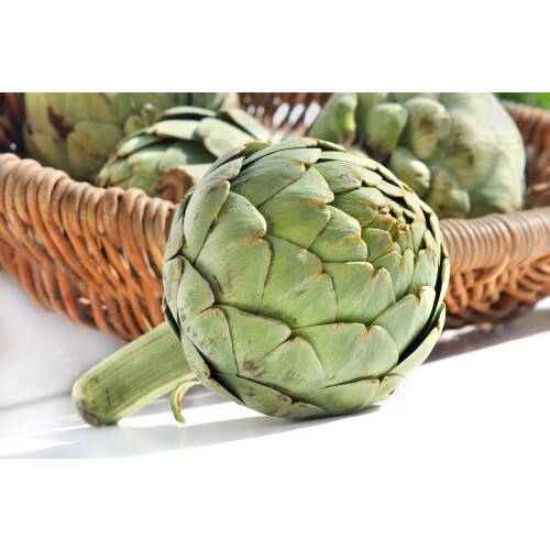 SAFLAX - BIO - Carciofo - Imperial Star - 5 semi - Cynara 1