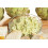 SAFLAX - BIO - Carciofo - Imperial Star - 5 semi - Cynara 7
