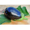 SAFLAX  - Aubergine - Black Beauty - Solanum - 25 Samen 6