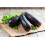 SAFLAX  - BIO - Aubergine - Longue violette - 20 graines - Solanum 2