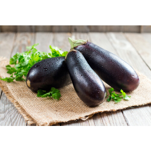 SAFLAX  - BIO - Aubergine - Longue violette - 20 graines - Solanum 1