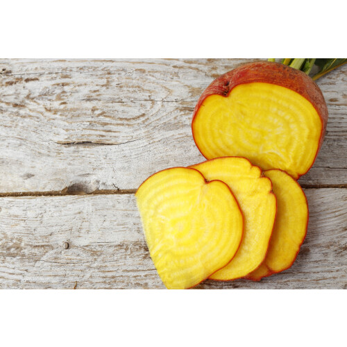 SAFLAX  - Goldene Rote Beete - Beta - 50 Samen 2