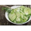 SAFLAX  - BIO - Concombre - Marketmore - 20 graines - Cucumis 2