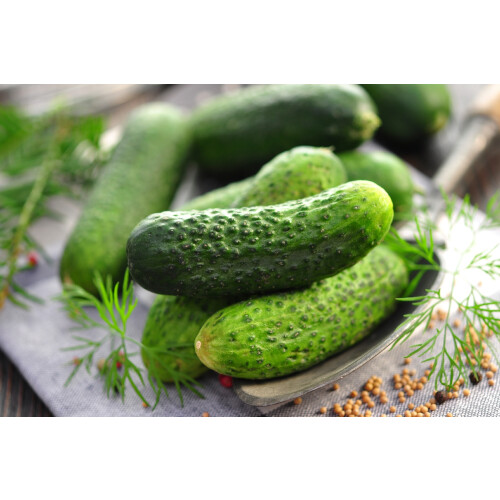 SAFLAX  - BIO - Concombre - Vorgebirgstraube  - 15 graines - Cucumis 2