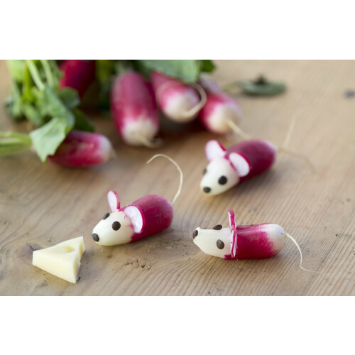 SAFLAX  - Radieschen - French Breakfast - Raphanus - 150 Samen 2