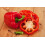SAFLAX  - Paprika – Wonder - Rot - Capsicum - 20 Samen 2