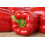 SAFLAX  - Paprika – Wonder - Rot - Capsicum - 20 Samen 7