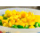 SAFLAX  - Paprika – Wonder - Gold - Capsicum - 20 Samen 7