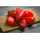 SAFLAX  - Paprika – Marconi - Capsicum - 20 Samen 5