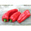 SAFLAX  - Paprika – Marconi - Capsicum - 20 Samen 4