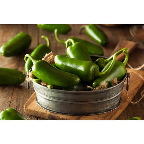 SAFLAX  - Chili – Jalapeno - Capsicum - 20 Samen 1