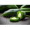 SAFLAX  - Chili – Jalapeno - Capsicum - 20 Samen 6