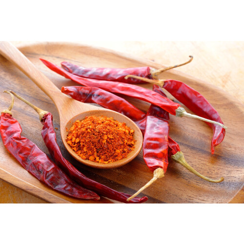 SAFLAX  - Chili – Cayenne - Capsicum - 10 Samen 2
