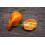 SAFLAX  - Chili – Habanero - Capsicum - 20 Samen 7