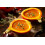 SAFLAX  - BIO - Potiron d'Hokkaido - 5 graines - Cucurbita 3